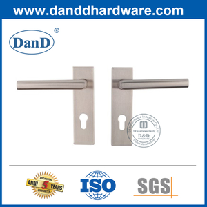 Poignée de levier mités de porte extérieure en acier inoxydable avec plaque-DDTP009