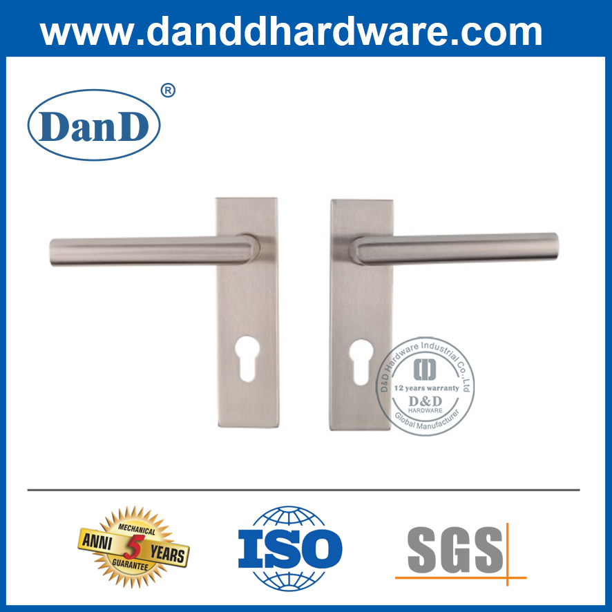 Poignée de porte décorative en acier inoxydable avec plaque arrière-Cylindre-DDTP008