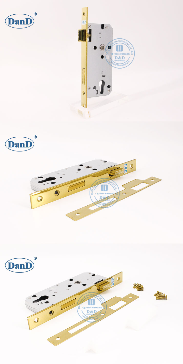 Porte en laiton polir le verrouillage-ddml026